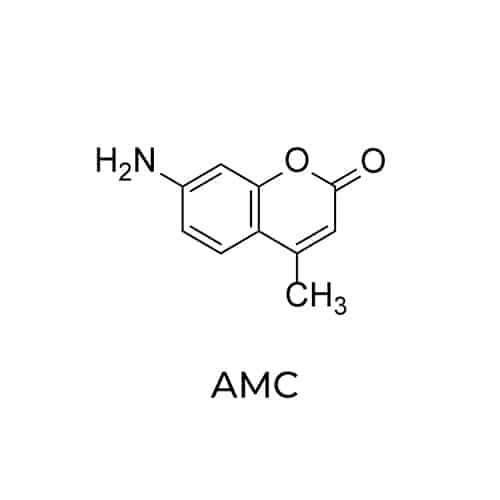 1.AMC