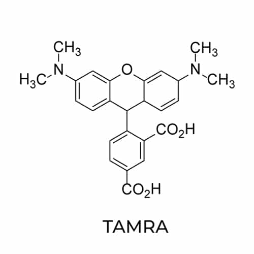6.TAMRA