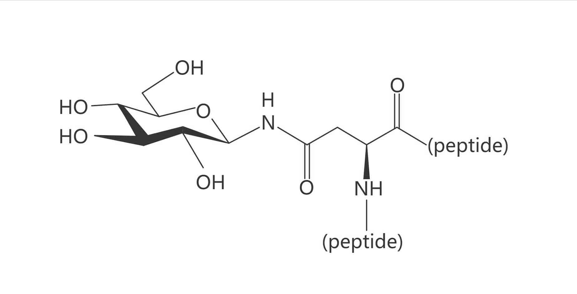 Asn(β-D-Glc)