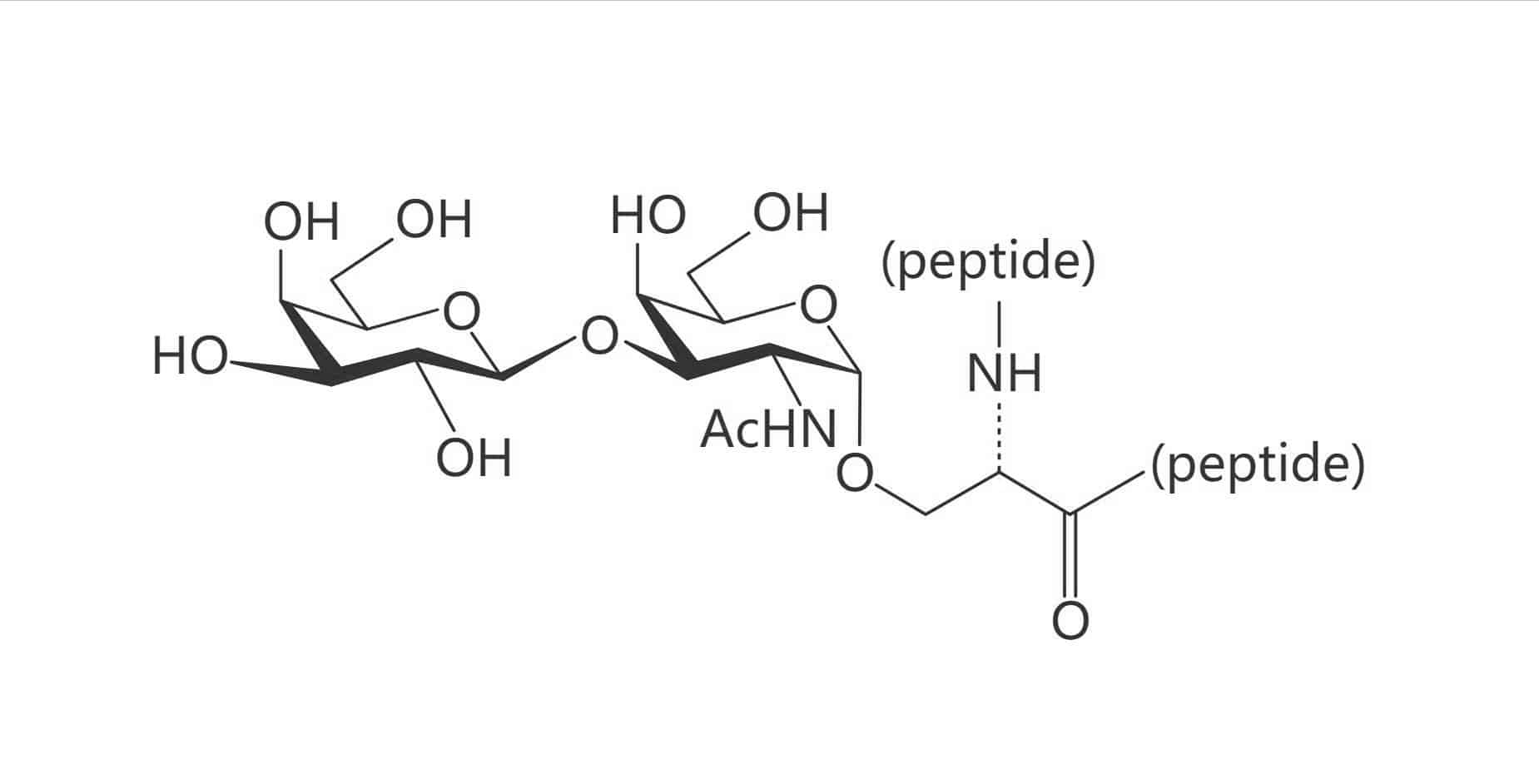 Ser(Gal β(1-3) GalNAc)(TF Antigen)