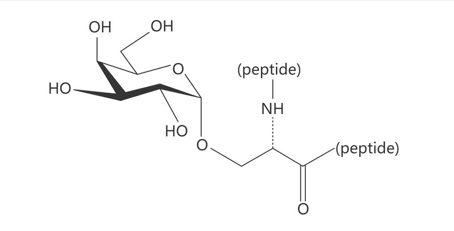 Ser(α-D-Gal)