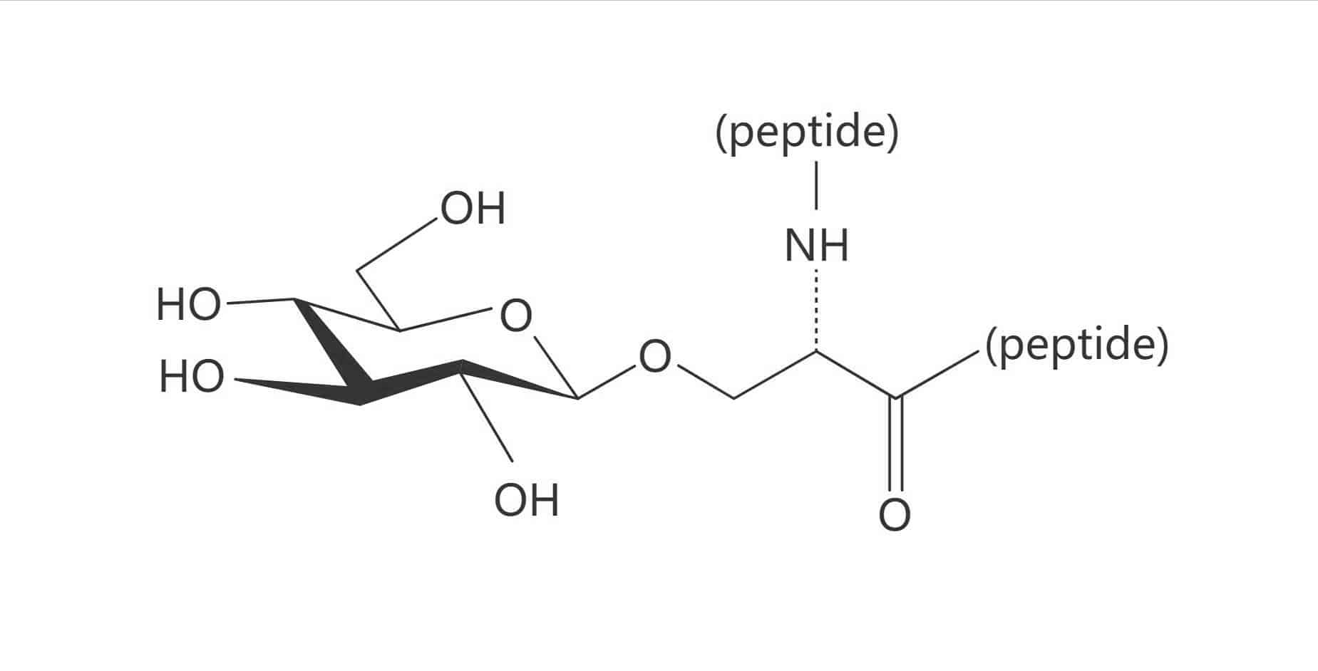 Ser(β-D-Glc)