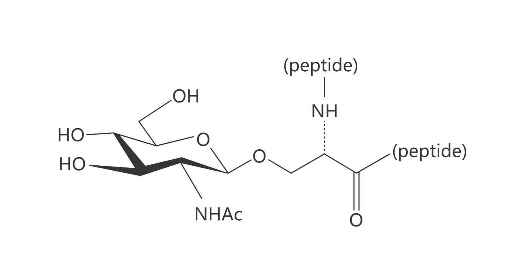Ser(β-D-GlcNAc)