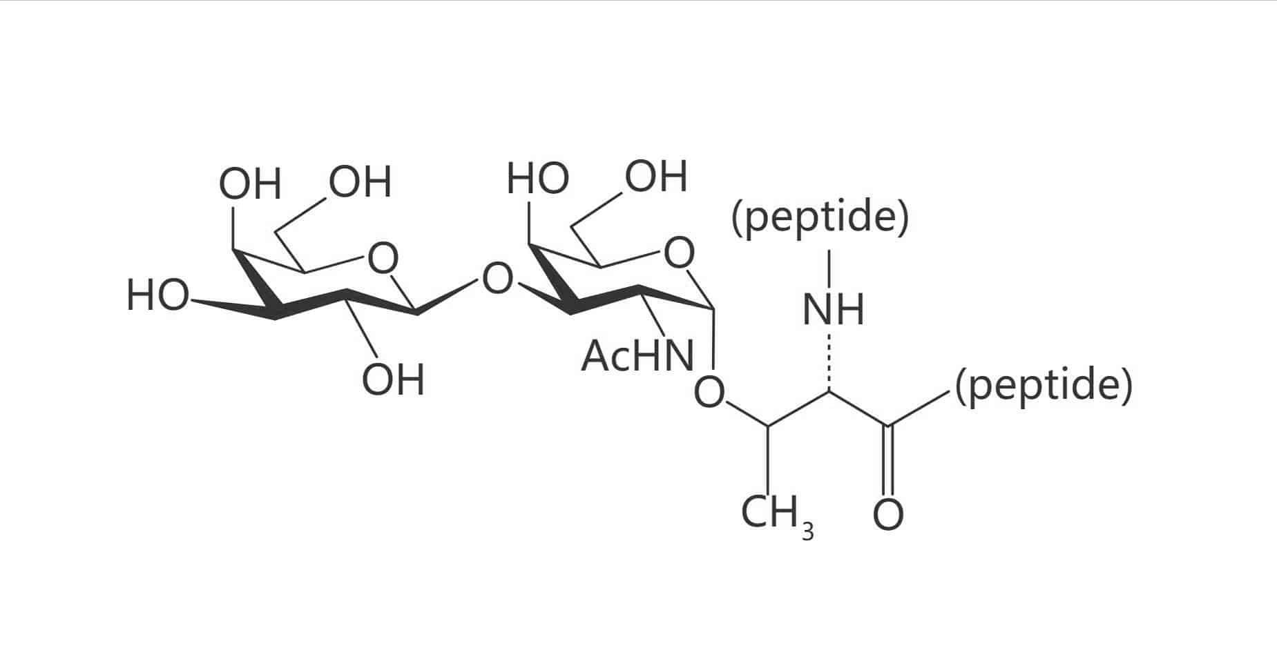 Thr(Gal β(1-3) GalNAc)(TF Antigen)
