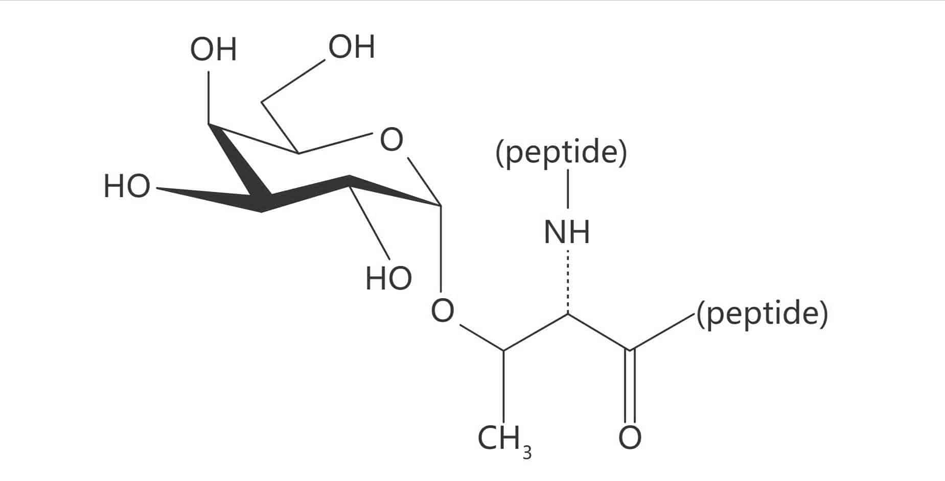 Thr(α-D-Gal)
