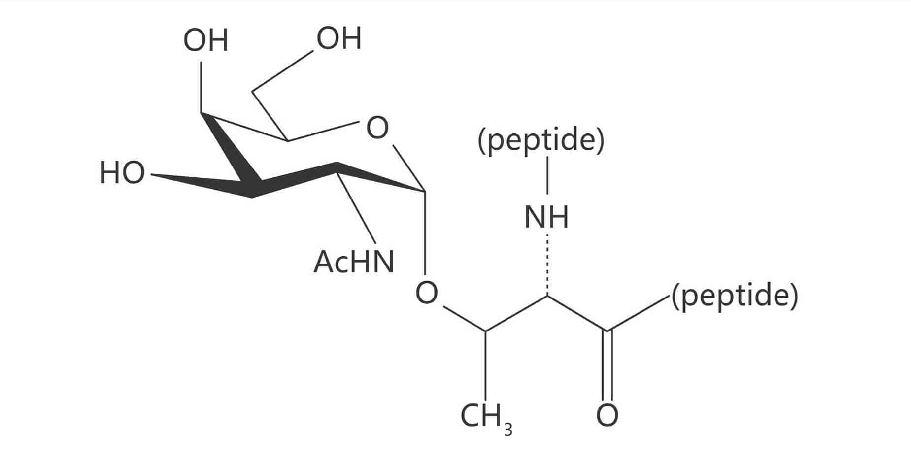 Thr(α-D-GalNAc)