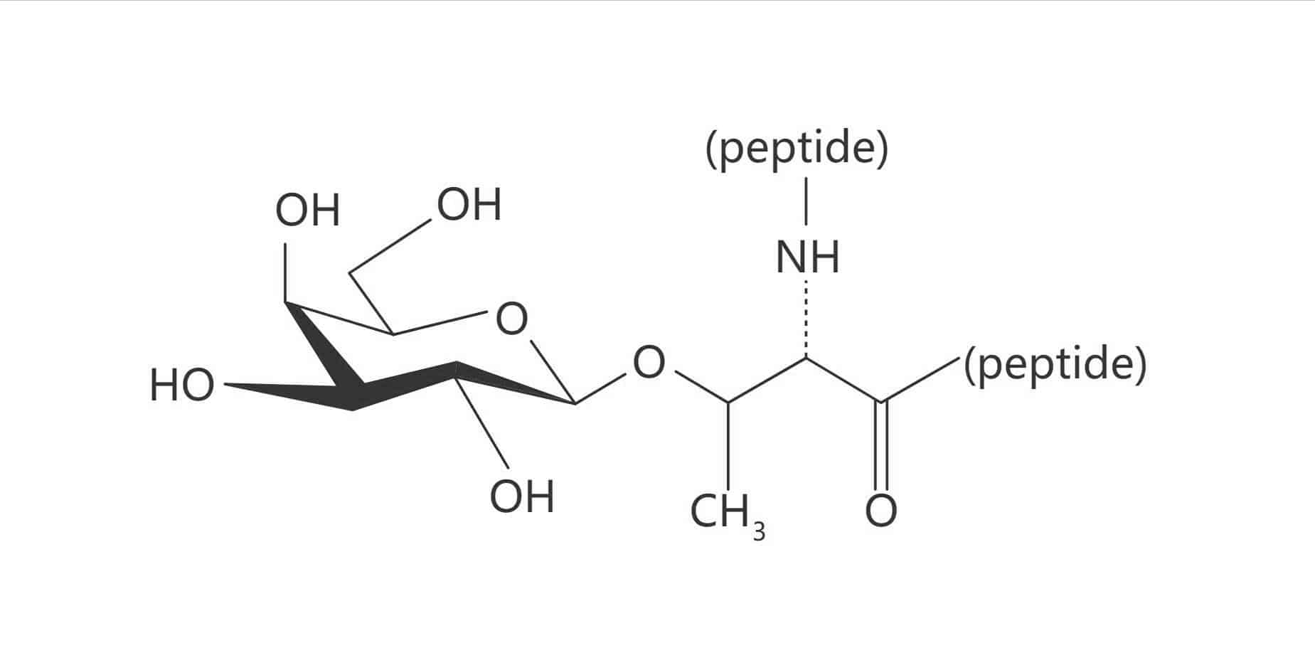 Thr(β-D-Gal)