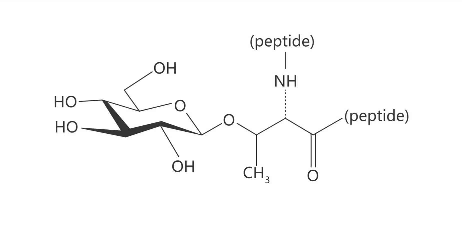 Thr(β-D-GlcNAc)