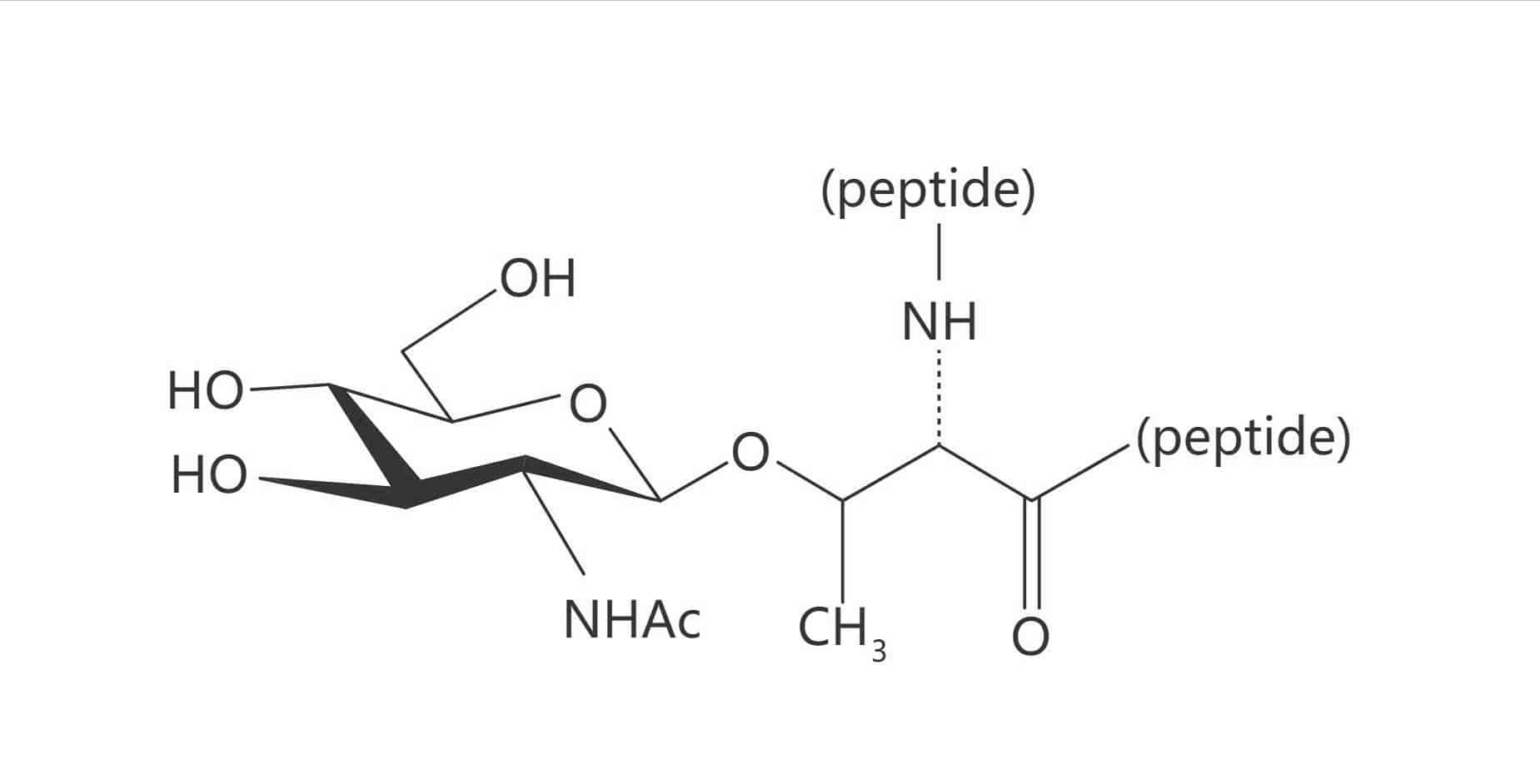 Thr(β-D-GlcNAc)