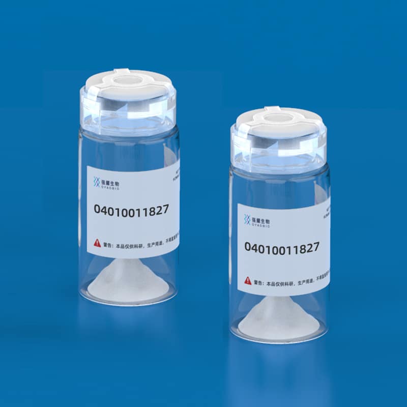 3.β-Amyloid Peptide (1-42), rat