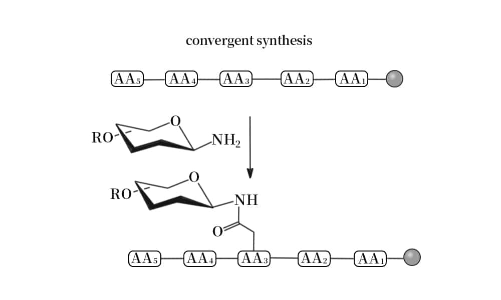 4. Convergent glycosylation synthesis