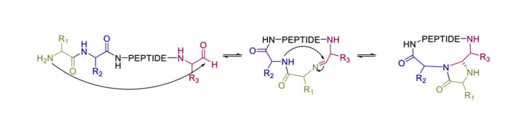 10.1 4-imidazolidinone Cyclization