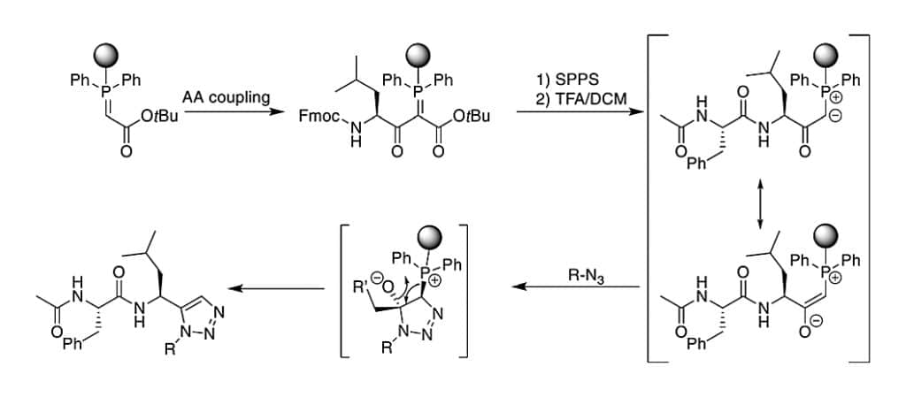 37. Metal-free synthesis