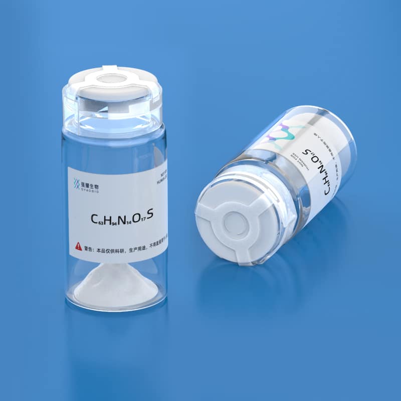 3.Annexin 1