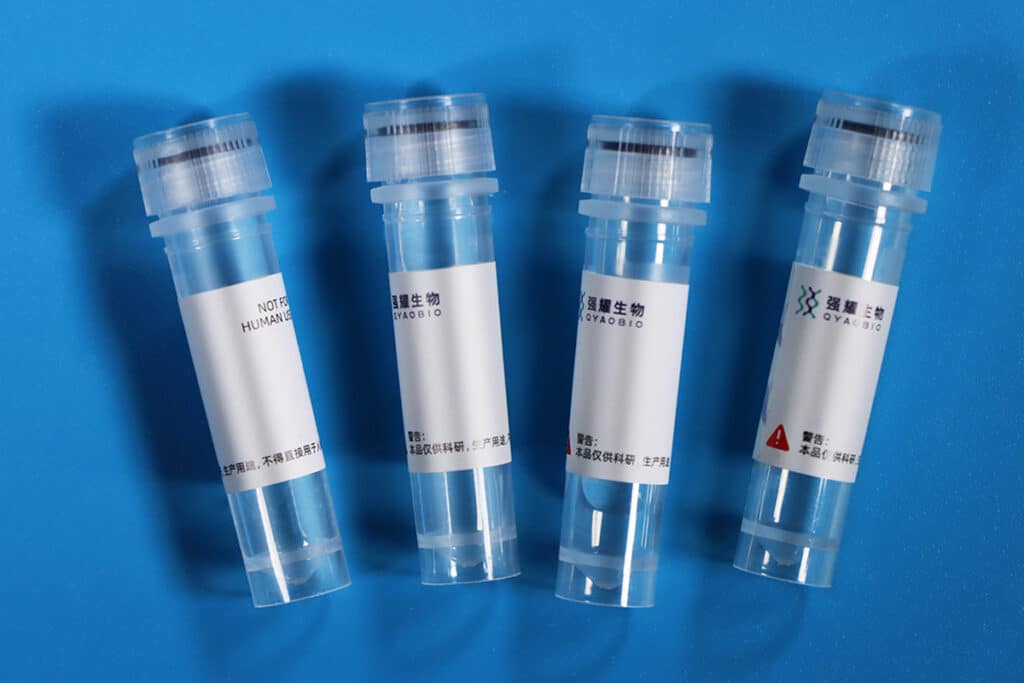 4.Secondary Antibody 1200