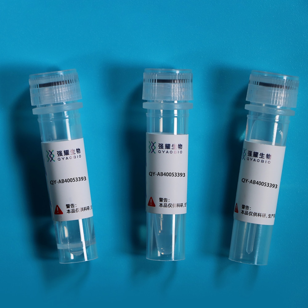 Biotin-Linked Monoclonal Antibody to Corticosterone (Cort)