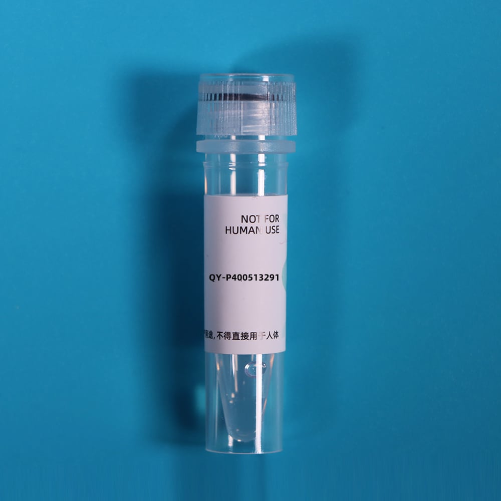 Recombinant Alpha-Fodrin (SPTAN1)